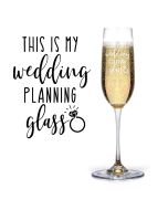 Engagement gift Champagne flutes this is my wedding planning glass design