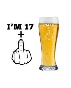 18th birthday beer glass with funny middle finger seventeen plus one design.