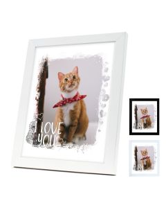 Pet picture frames with cats and dogs