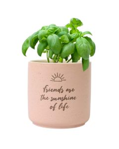 Plant pot for friends