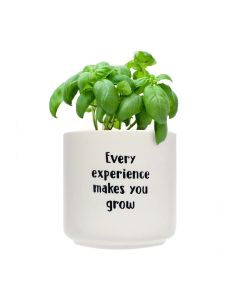 Positive affirmation plant pot
