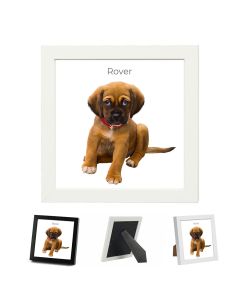 Square photo frames with oil painting effect for dogs, cats and other pets in New Zealand.