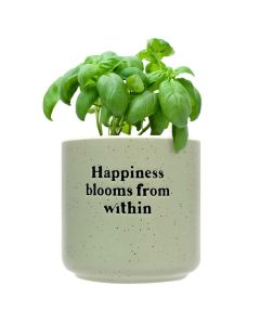 Happiness blooms from within plant pot