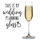 Engagement gift Champagne flutes this is my wedding planning glass design