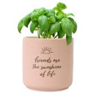 Plant pot for friends
