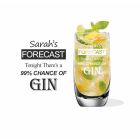 Personalised crystal highball gin cocktail glass