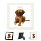 Square photo frames with oil painting effect for dogs, cats and other pets in New Zealand.