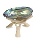 Premium Paua Shell with Wood Stand