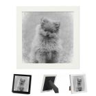 Pet photo frames with square design and stencil effect.