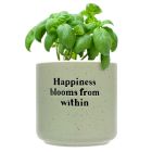 Happiness blooms from within plant pot