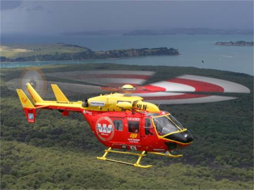 Westpac helicopter supporters