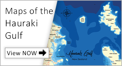 View our collection of Topographical 3D maps of the Hauraki Gulf