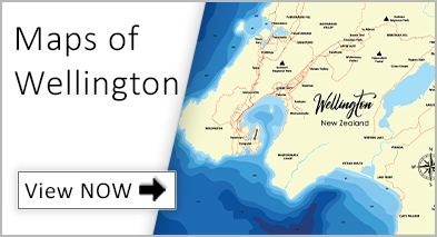 View our collection of Topographical 3D maps of Wellington